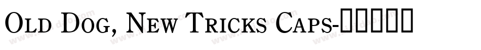 Old Dog, New Tricks Caps字体转换
